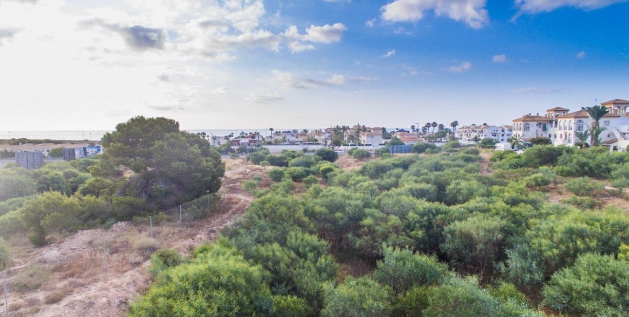 Obra nueva - Apartamento / piso -
Orihuela Costa - Playa Flamenca