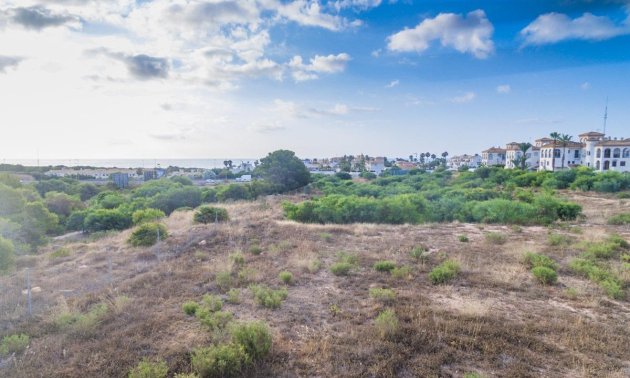 Obra nueva - Apartamento / piso -
Orihuela Costa - Playa Flamenca