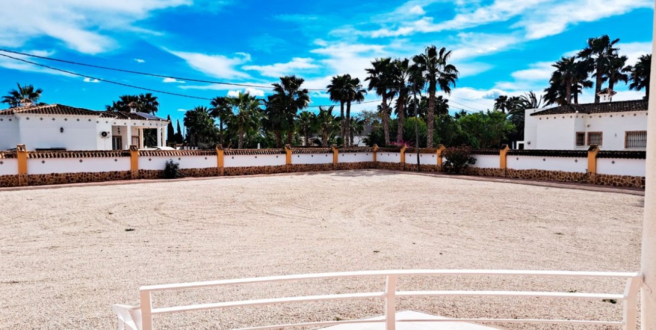 Reventa - Finca -
Catral - Catral - Country