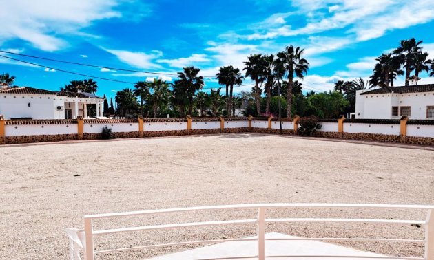 Reventa - Finca -
Catral - Catral - Country