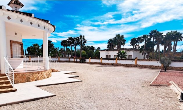 Reventa - Finca -
Catral - Catral - Country