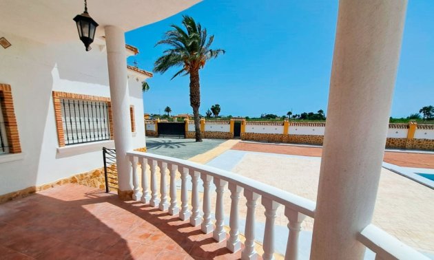 Reventa - Finca -
Catral - Catral - Country