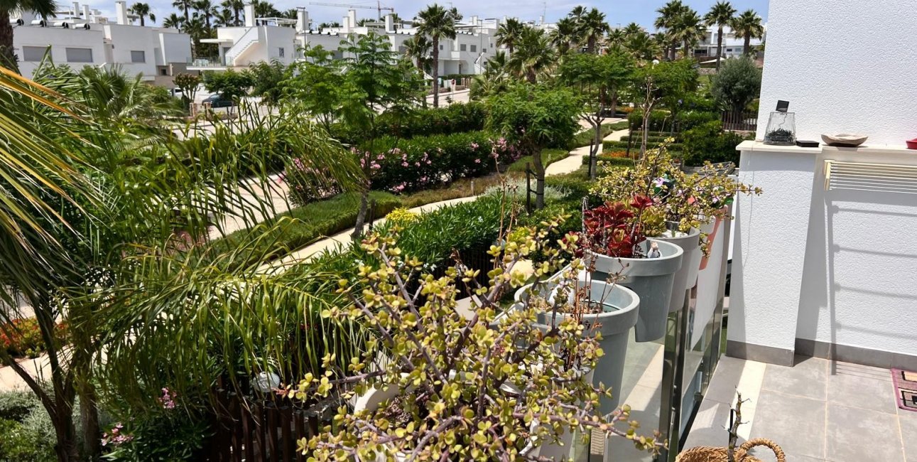 Reventa - Apartamento / piso -
Entre Naranjo - Vistabella Golf - Entre Naranjos Vistabella Golf