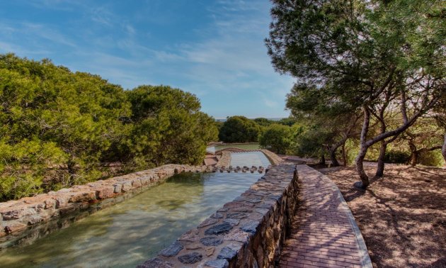 Resale - Bungalow -
Torrevieja - Parque de las Naciones