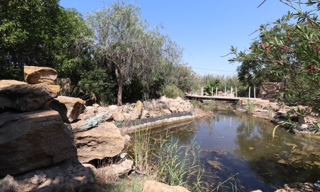 Resale - Country House -
Catral - Catral - Country