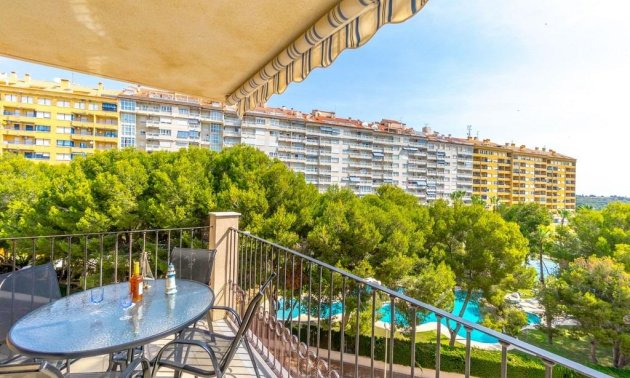 Resale - Apartment / flat -
Orihuela Costa - Campoamor