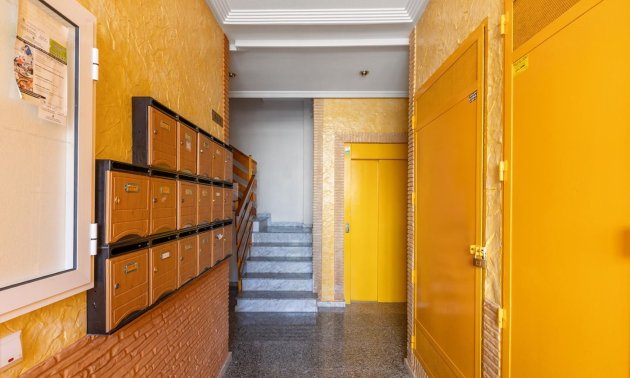 Rynek wtórny - Mieszkanie  -
Torrevieja