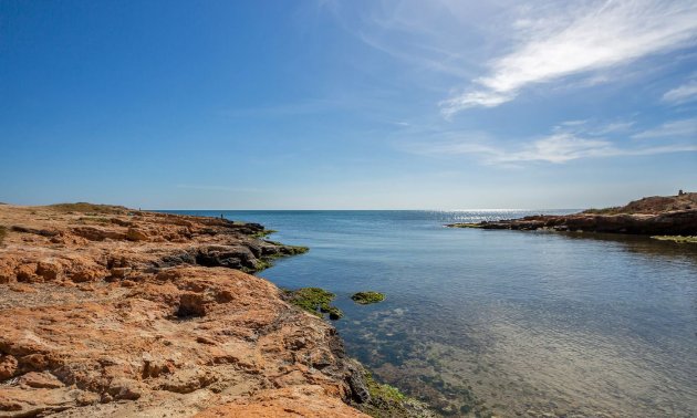 Rynek wtórny - Mieszkanie  -
Torrevieja