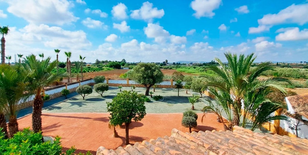 Reventa - Finca -
Catral - Catral - Country