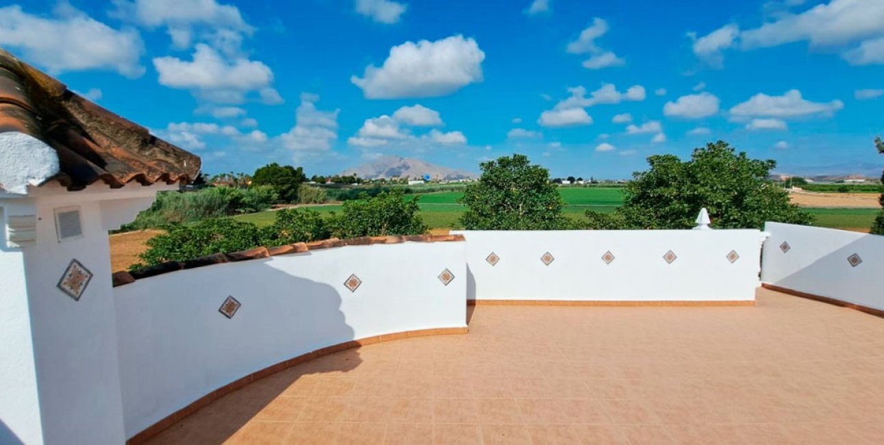 Reventa - Finca -
Catral - Catral - Country