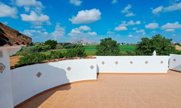 Reventa - Finca -
Catral - Catral - Country