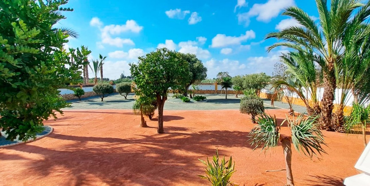 Reventa - Finca -
Catral - Catral - Country