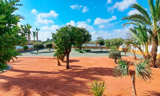 Reventa - Finca -
Catral - Catral - Country