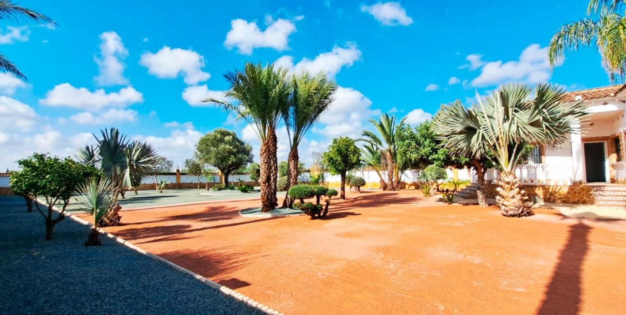 Reventa - Finca -
Catral - Catral - Country