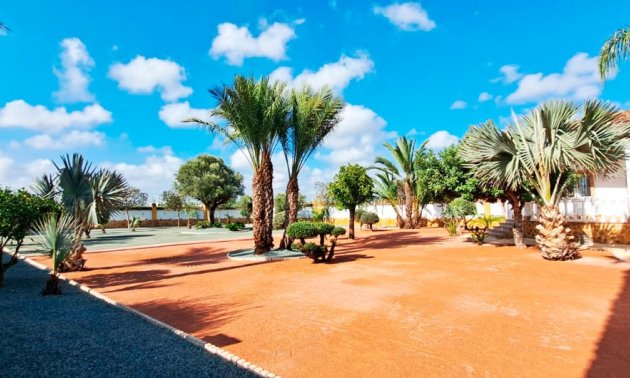 Reventa - Finca -
Catral - Catral - Country