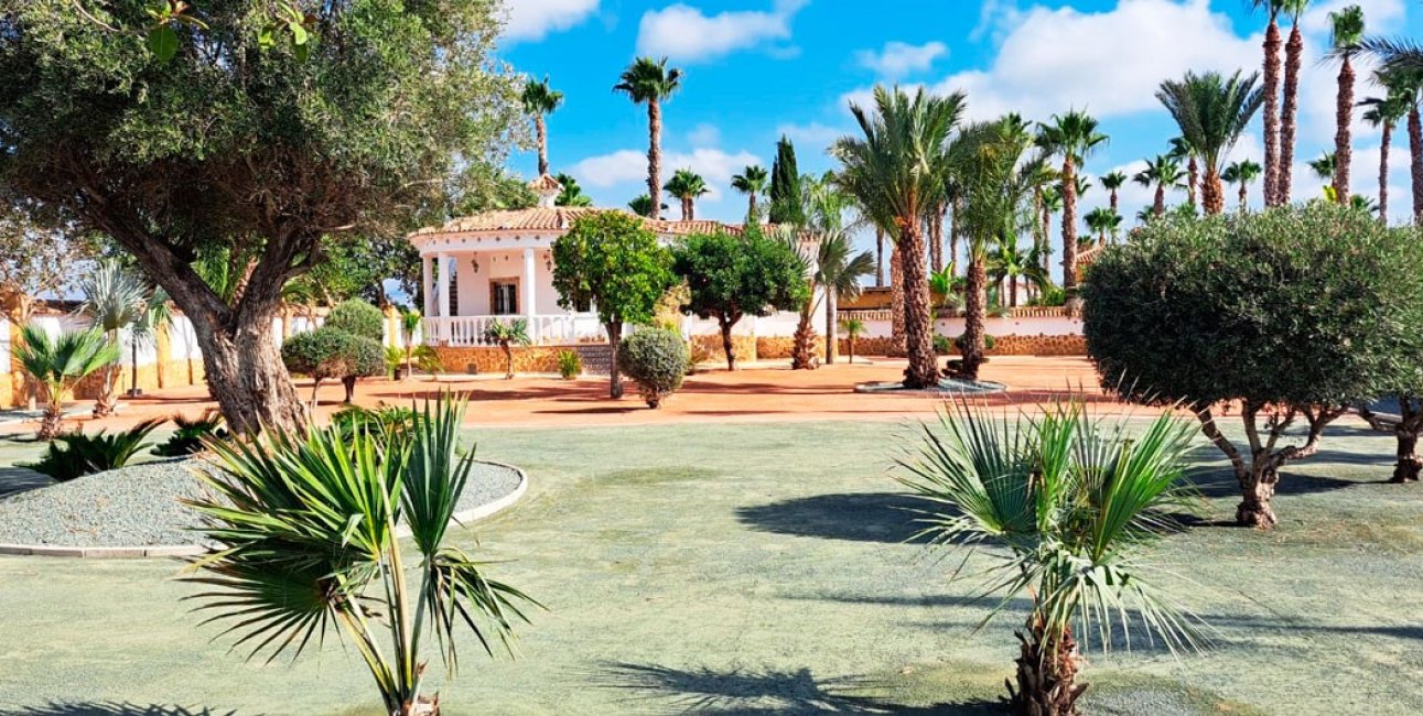 Reventa - Finca -
Catral - Catral - Country