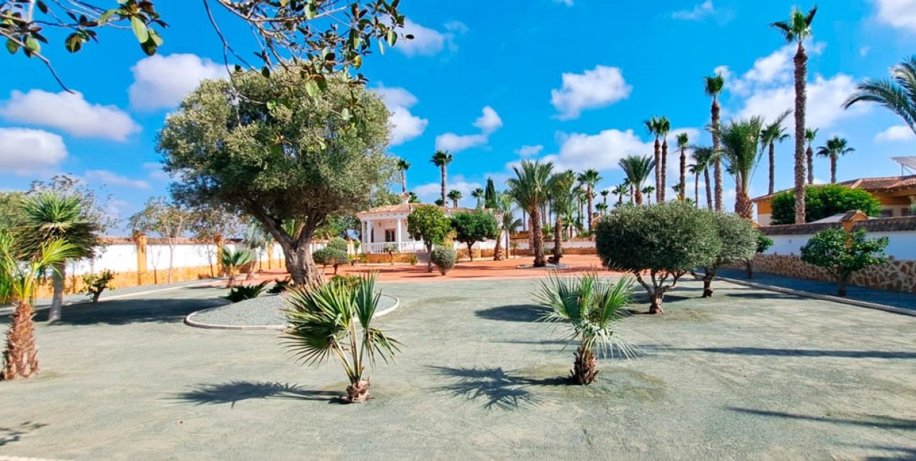 Reventa - Finca -
Catral - Catral - Country