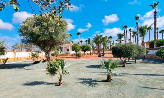 Reventa - Finca -
Catral - Catral - Country