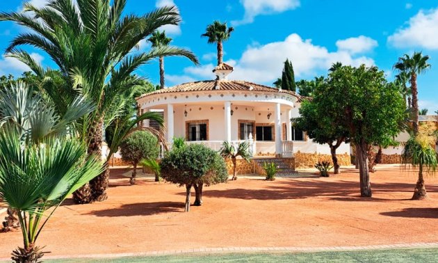 Reventa - Finca -
Catral - Catral - Country