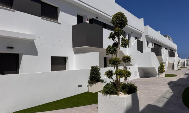 New Build - Bungalow -
Torrevieja - Los Balcones - Los Altos del Edén