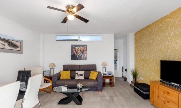 Rynek wtórny - Mieszkanie  -
Torrevieja - Playa del Cura