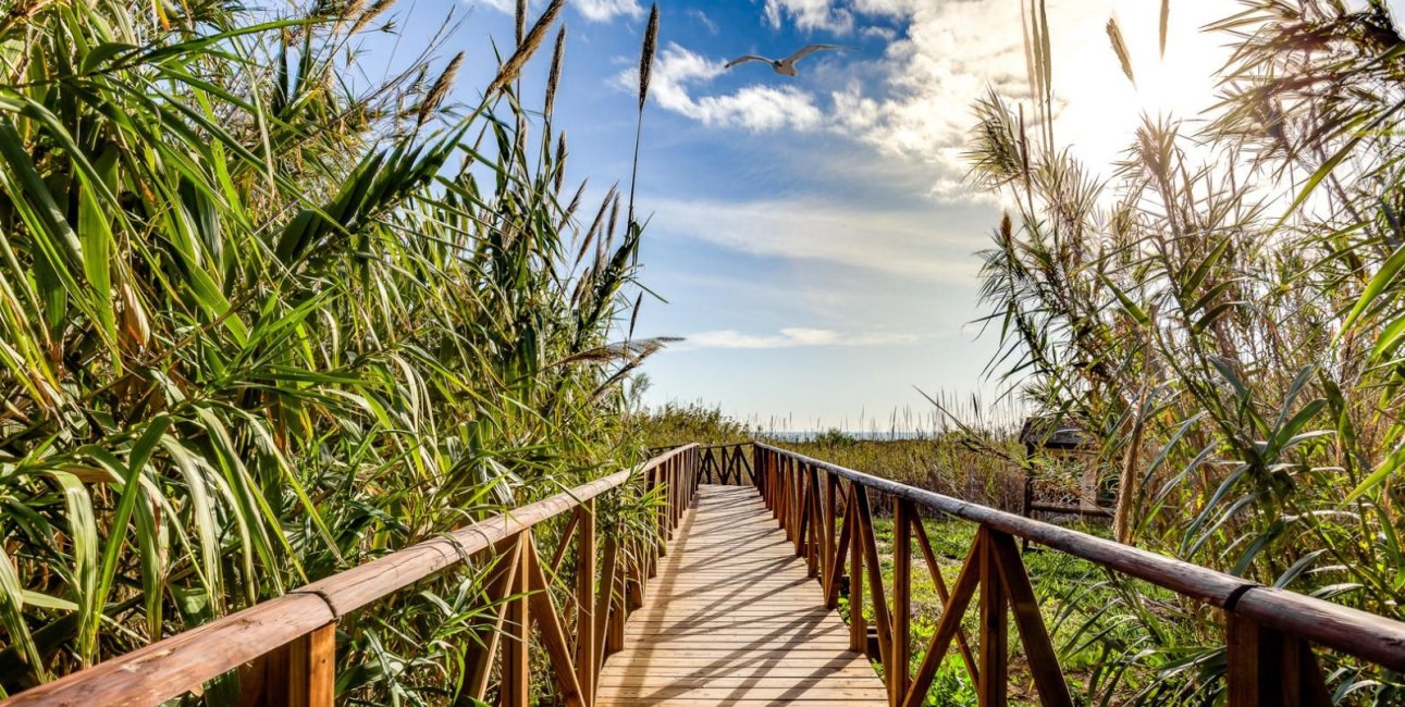 Resale - Apartment / flat -
Torrevieja - La Mata