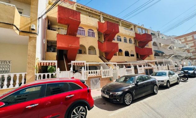 Rynek wtórny - Mieszkanie  -
Torrevieja - La Mata